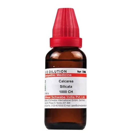 dr.-willmar-schwabe-india-calcarea-silicata-dilutio