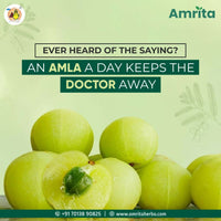 Thumbnail for Amrita Amla Churn