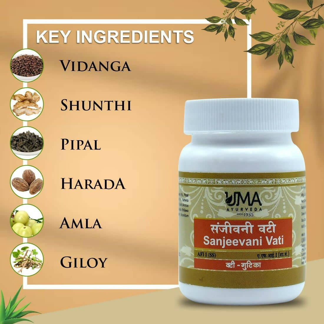 uma-ayurveda-sanjeevani-vati