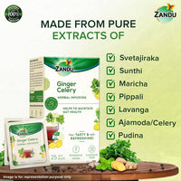 Thumbnail for Zandu Ginger Celery Herbal Infusion Tea