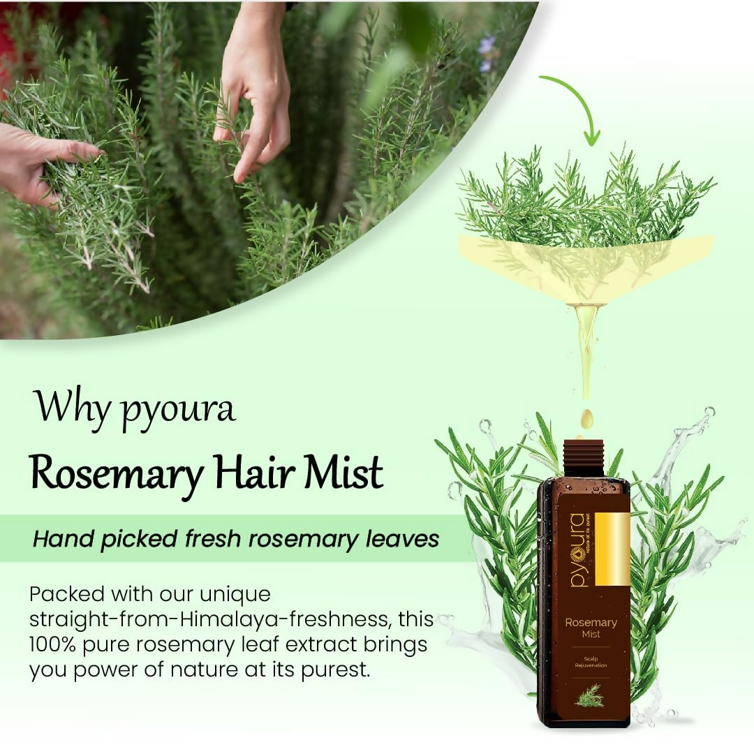 Pyoura Rosemary Water Spray For Hair Fall Control Natural Non
