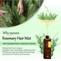 Thumbnail for Pyoura Rosemary Water Spray For Hair Fall Control Natural Non