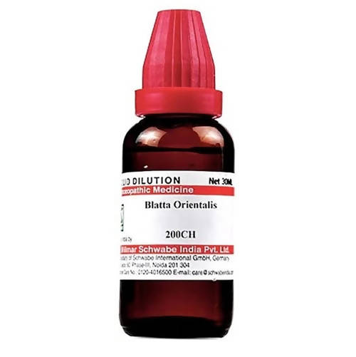 dr.-willmar-schwabe-india-blatta-orientalis-dilutio