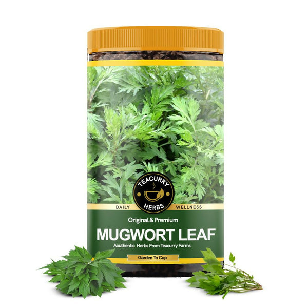 teacurry-organic-mugwort-leave
