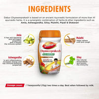 Thumbnail for Dabur Chyawanprakash Sugar Free