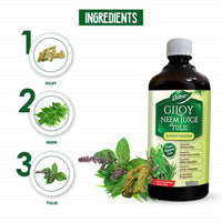 Thumbnail for Dabur Giloy Neem Juice with Tulsi