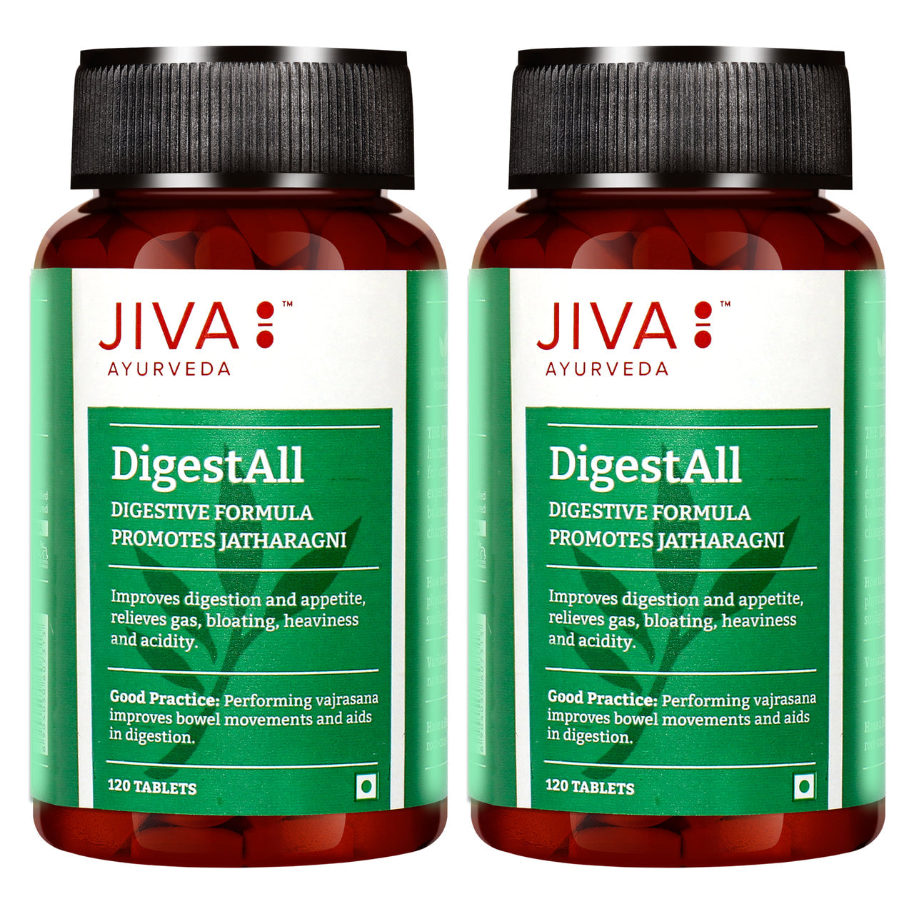 jiva-ayurveda-digestall-tablets
