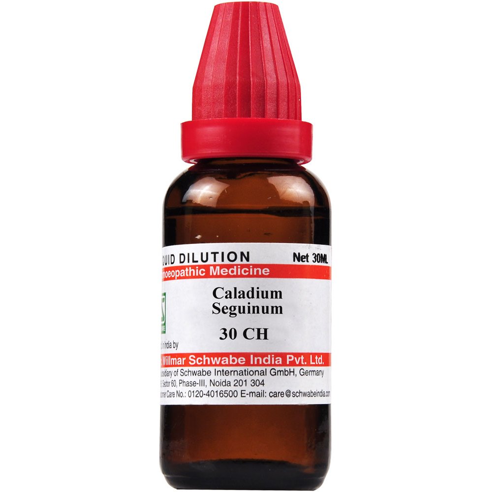 dr.-willmar-schwabe-india-caladium-seguinum-dilutio