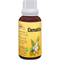 Thumbnail for bio-india-homeopathy-bach-flower-clematis-dilutio