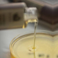 Thumbnail for Shankara by Sri Sri Tattva Hair & Scalp Oil