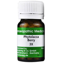 Thumbnail for Dr. Reckeweg Phytolacca Berry Tablets