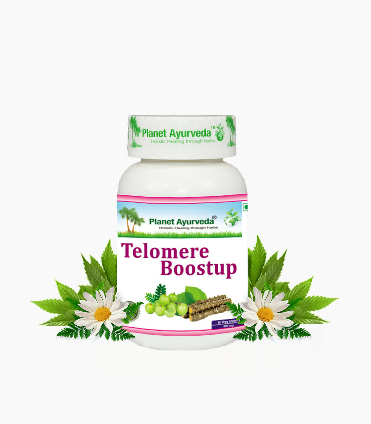 planet-ayurveda-telomere-boostup-capsules