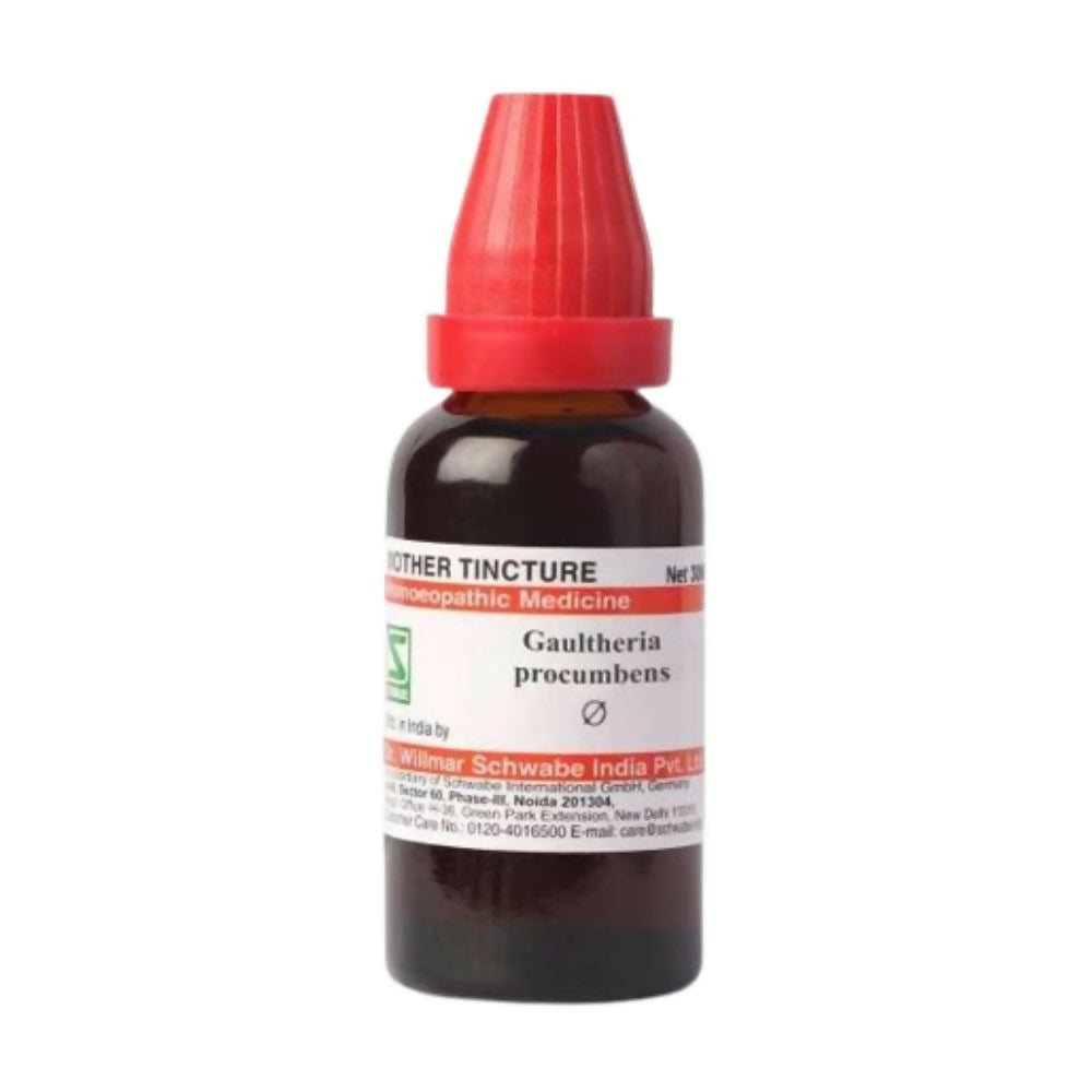 dr.-willmar-schwabe-india-gaultheria-procumbens-mother-tincture-