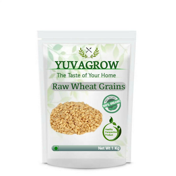 yuvagrow-raw-wheat-grain