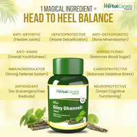Thumbnail for Herbal Canada Giloy Ghanvati Tablets