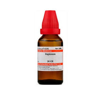 Thumbnail for dr.-willmar-schwabe-india-eupionum-dilutio