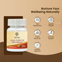 Thumbnail for Life Aveda Aarogya Vardhini Vati