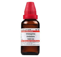 Thumbnail for dr.-willmar-schwabe-india-chimaphila-umbellata-dilutio