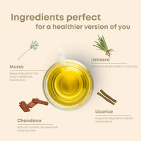 Thumbnail for Shivamastu Ayurveda Wellnessbrew Herbal Tea