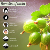 Thumbnail for Pyoura Itchy Scalp Hair Growth Amla Hair Spray Serum Mist