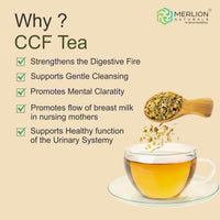 Thumbnail for Merlion Naturals CCF Tea (Cumin, Coriander and Fennel Tea Bag)