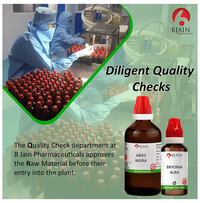 Thumbnail for Bjain Homeopathy Ulmus Fulva Mother Tincture Q
