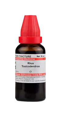 Thumbnail for dr.-willmar-schwabe-india-rhus-toxicodendron-mother-tinctur