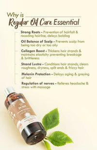 Thumbnail for Nat Habit Men is Revital Summer Hair Oil