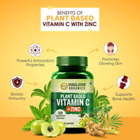 Thumbnail for Himalayan Organics Plant Based Vitamin C + Zinc Double Immune Support Vegetarian Capsules