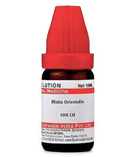 Thumbnail for Dr. Willmar Schwabe India Blatta Orientalis Dilution
