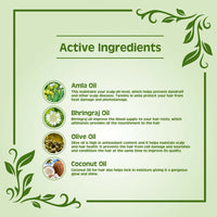 Thumbnail for Earth Science Ayurveda Amla & Bhringraj Hair Oil