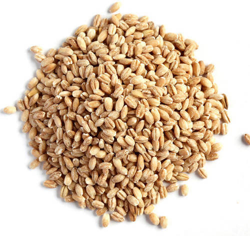 hebsur-herbals-barley-seed
