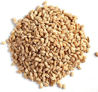 Thumbnail for hebsur-herbals-barley-seed