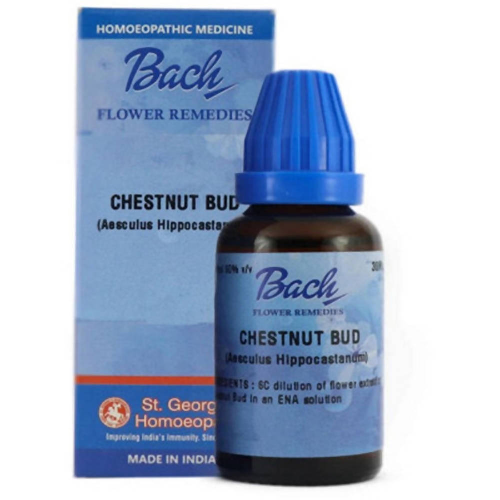 st.-george-is-bach-flower-remedies-chestnut-bud-dilutio