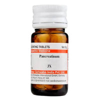 Thumbnail for dr.-willmar-schwabe-india-pancreatinum-trituration-tablet