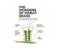 Thumbnail for Herbal Hills Wheat