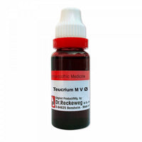 Thumbnail for dr.-reckeweg-teucrium-m-v-mother-tincture-