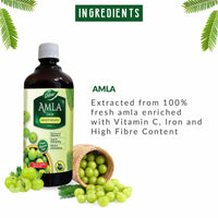 Thumbnail for Dabur Amla Juice Immunity Booster