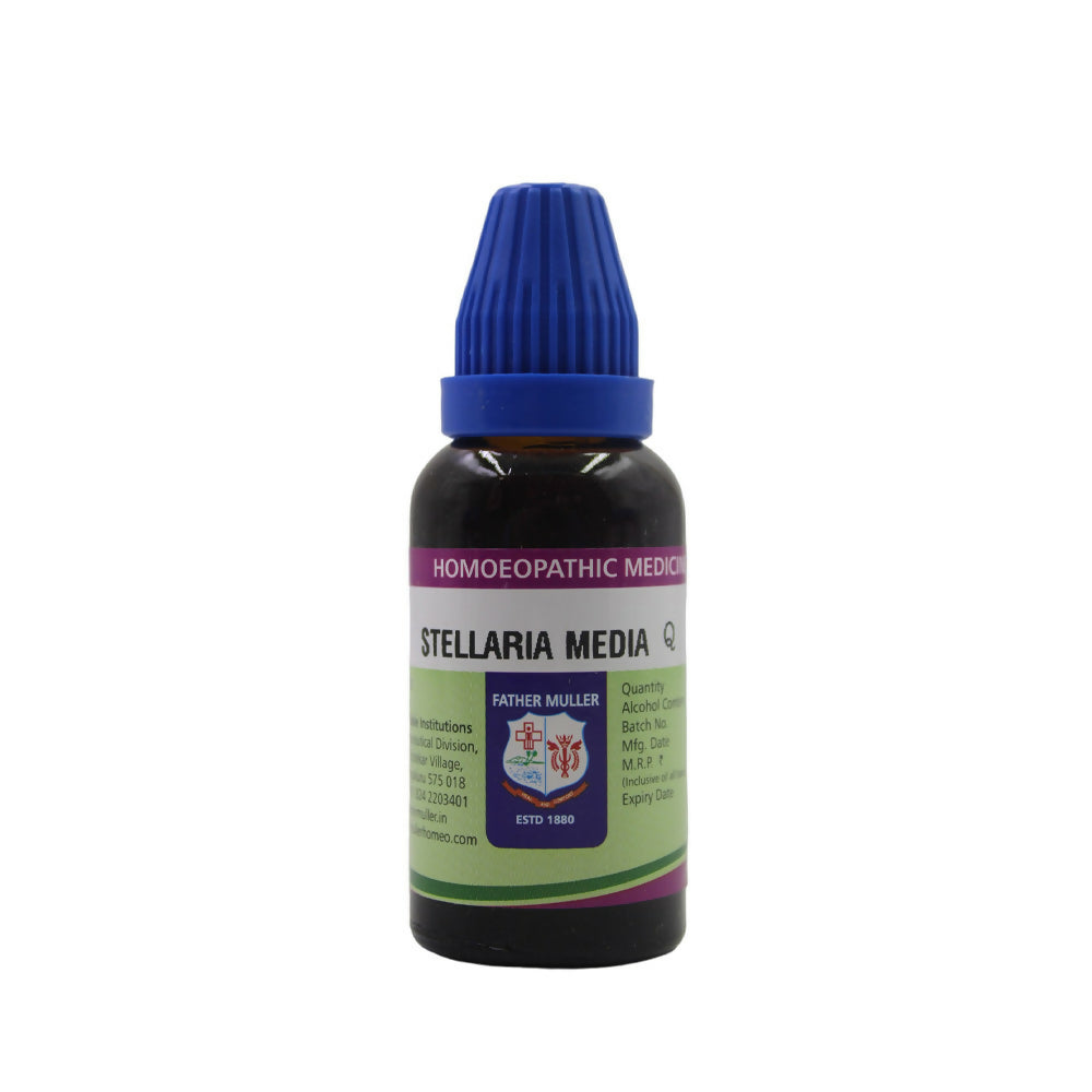 father-muller-stellaria-media-mother-tincture-