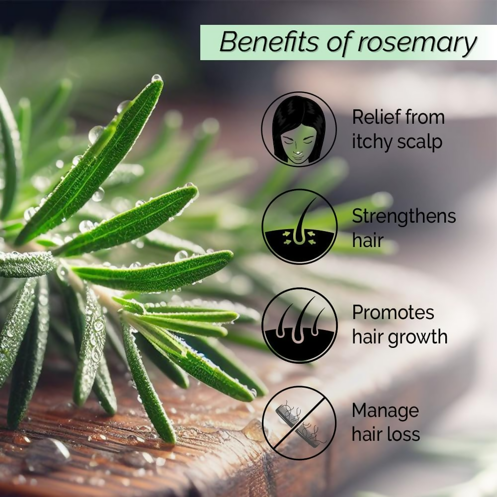 Pyoura Rosemary Water Spray For Hair Fall Control Natural Non