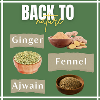 Thumbnail for Satvi Wellness Fennel Ginger Ajwain Tea | Fennel Tea | Ginger Tea | Ajwain Tea