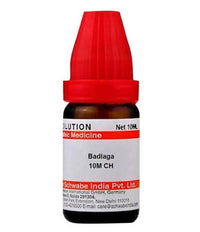 Thumbnail for Dr. Willmar Schwabe India Badiaga Dilution