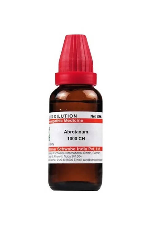 dr.-willmar-schwabe-india-abrotanum-dilutio