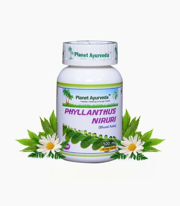 planet-ayurveda-phyllanthus-niruri-capsules