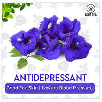 Thumbnail for Blue Tea Butterfly Pea Herbal Tea Bags | Anti