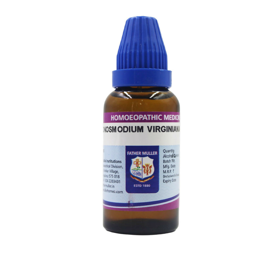 father-muller-onosmodium-virginianum-dilutio