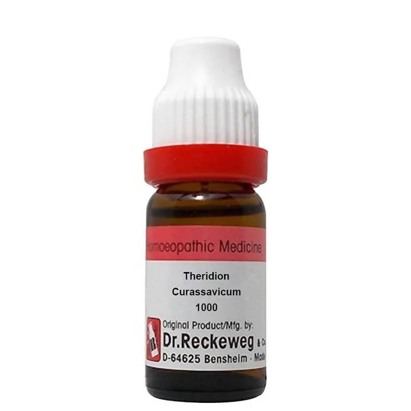 dr.-reckeweg-theridion-curassavicum-dilutio
