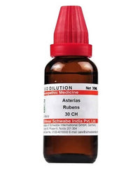 Thumbnail for dr.-willmar-schwabe-india-asterias-rubens-dilutio