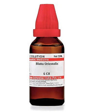 Thumbnail for dr.-willmar-schwabe-india-blatta-orientalis-dilutio