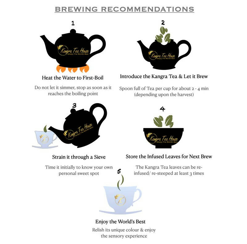 Kangra Tea House NationaliTEA